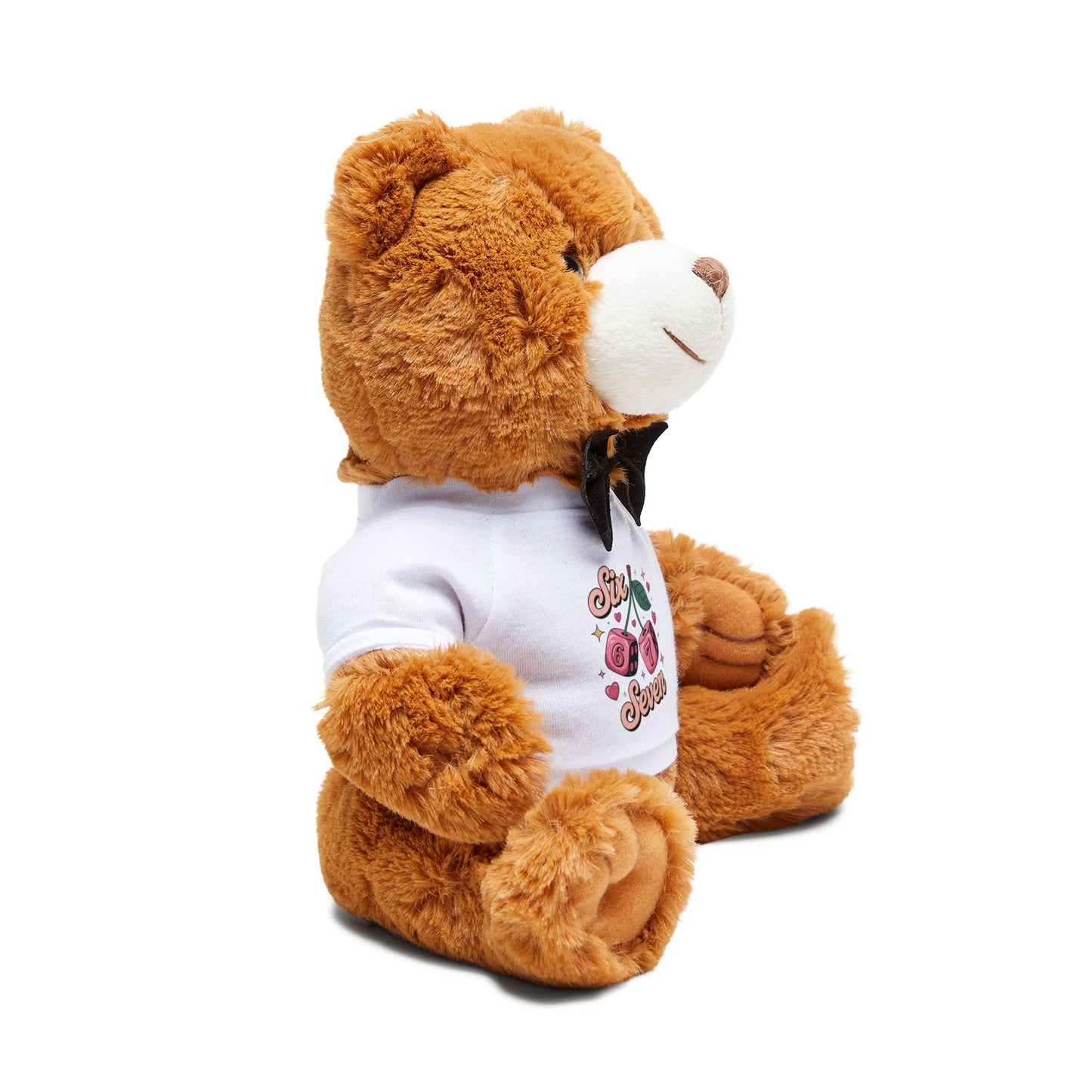 Teddy Bear with 6 7 Valentine shirt
